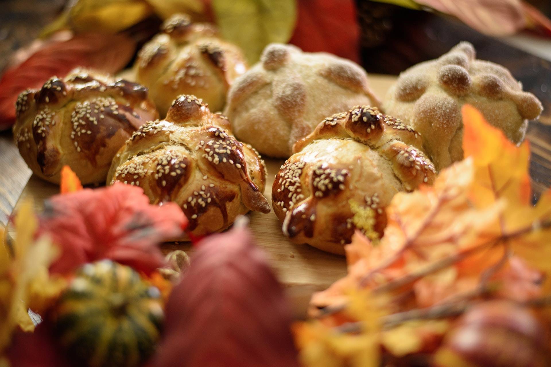 5 actividades para celebrar Día de Muertos desde casa | Sabes Aprender