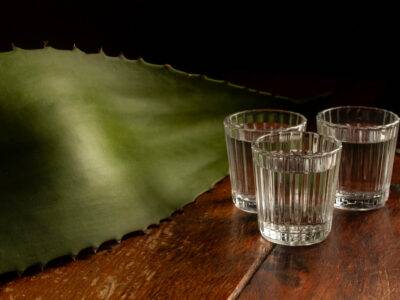 Día del tequila Mexicano